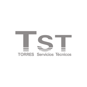 logotipo positivo-negativo TST 2024-1